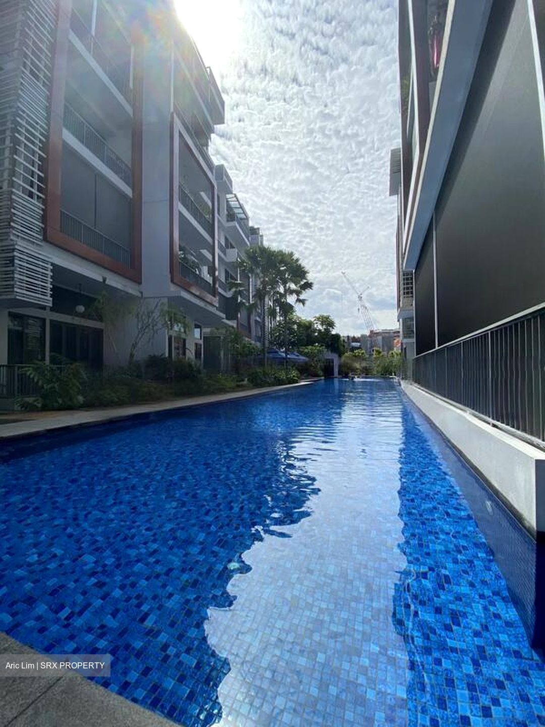 The Creek @ Bukit (D21), Condominium #461779651